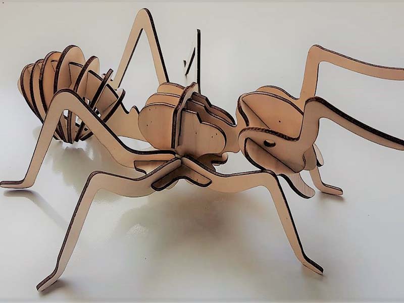 Laser Cut Ant Insect 3D Puzzle Kit