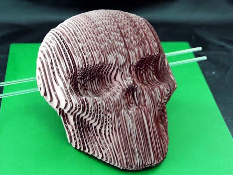 Laser Cut Cardboard 3D Skull Puzzle Model Kit