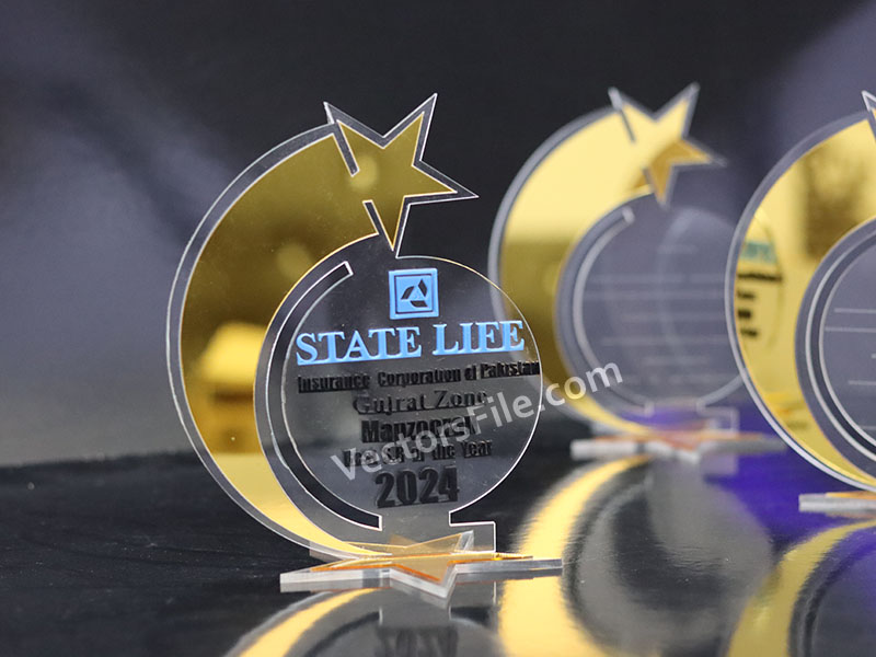 Shining Star Pattern Laser Cut Acrylic Award Trophy Design