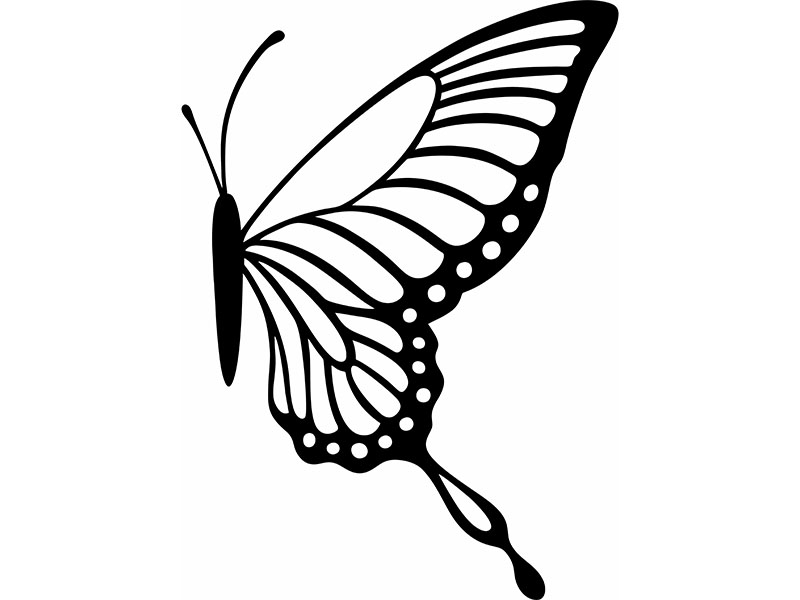 Laser Cut iPhone Butterfly Acrylic Back Decor
