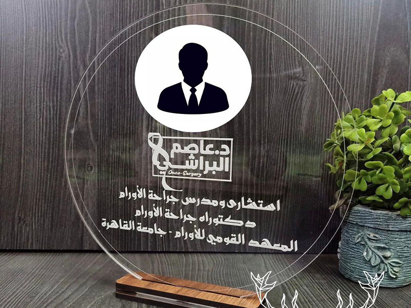 Laser Cut Acrylic Shield Round Shape Award Template
