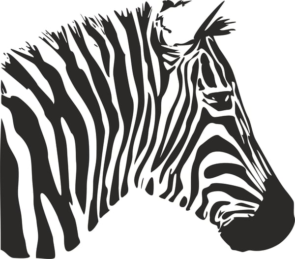 Zebra Stencil CDR File | Vectors File