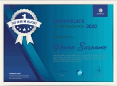 Business Certificate of Appreciation Template Creative Design Illustrator Vector File