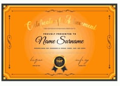 Certificate Template Elegant Bright Decor Illustrator Vector File