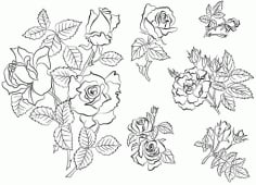 Floral Handrawn Vector Design 777 CDR File