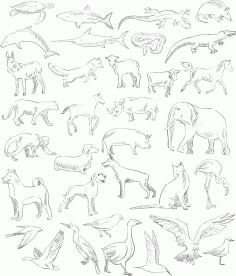 Handdrawn Animals Set Outline CDR Vectors File