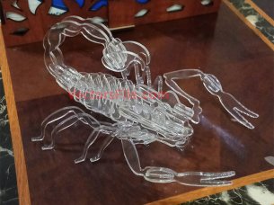 Laser Cut Acrylic Scorpion 3D Puzzle Insect Model Kit