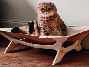 Laser Cut Cat Hammock Bed Design Wooden Pet Bed Template