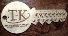 Laser Cut Wooden 16 Key Hook on Key Shape Key Holder CDR File