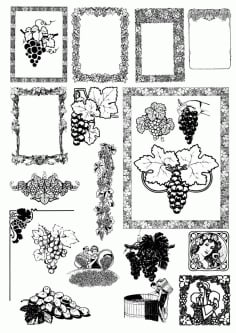 Vinograd Frame and Border Design Free CDR Vectors File