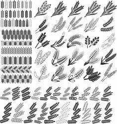 Wheat Vector Set Free CDR Vectors File